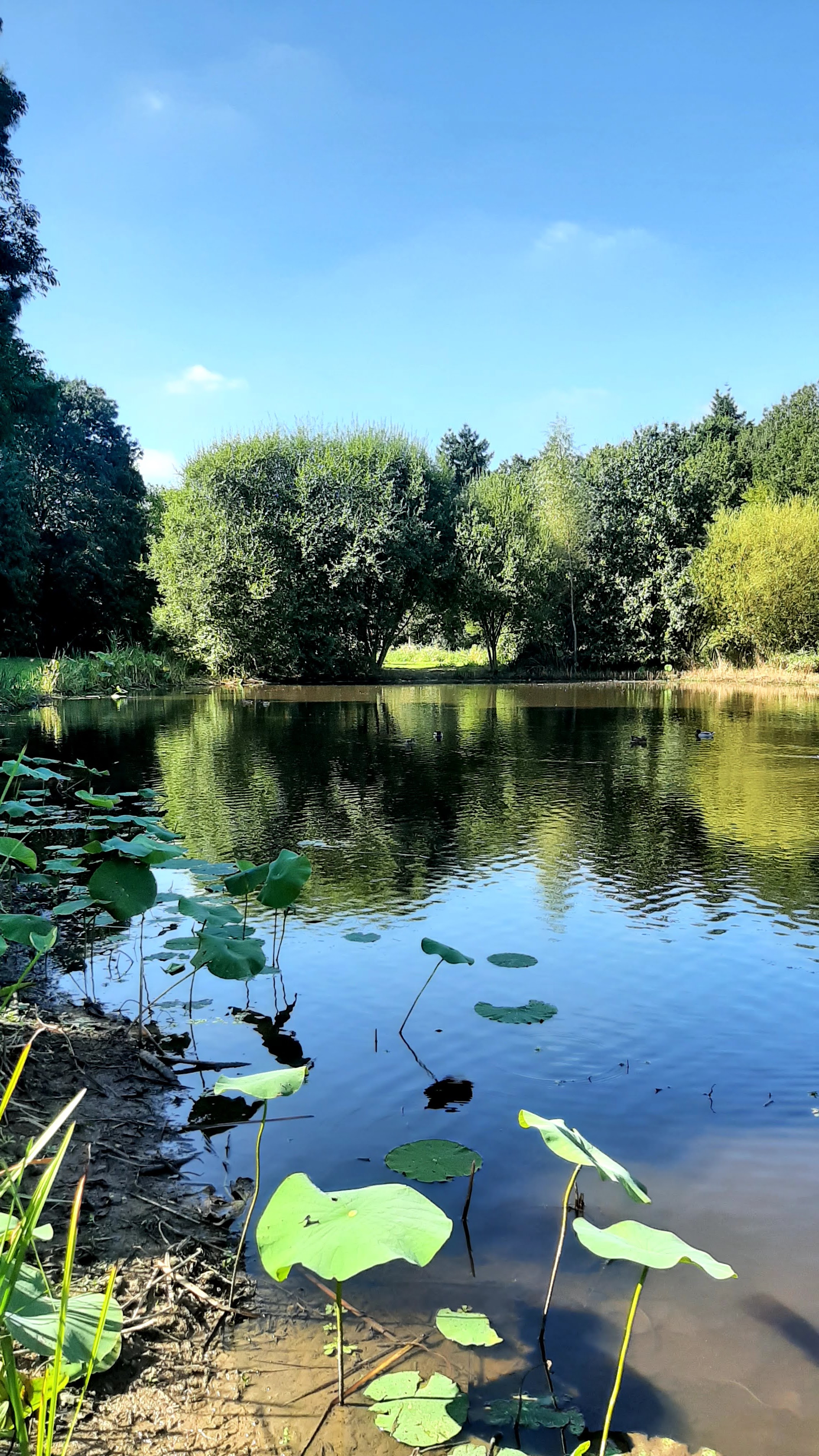 Photo n° 13 de l'avis de balouin.r fait le 30/09/2021 à 07:27