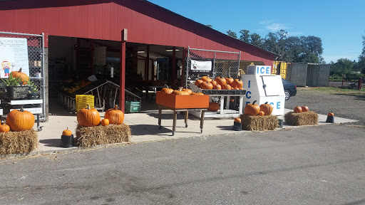 Produce Market «Keystone Farmers Market LLC», reviews and photos, 12615 Tarpon Springs Rd, Odessa, FL 33556, USA