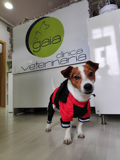 Clínica Veterinaria Las Rozas Gaia en Las Rozas de Madrid
