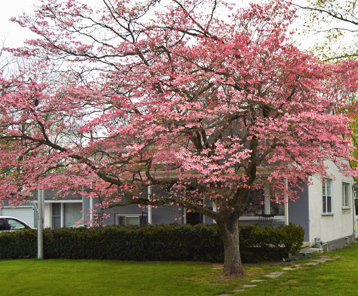 Real Estate Agency «Long & Foster Real Estate, Inc. Havertown- Kevin Toll Group, LLC», reviews and photos, 95 S Eagle Rd, Havertown, PA 19083, USA