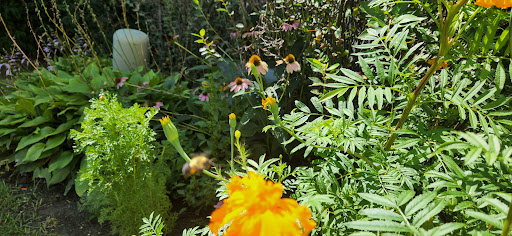 Nature Preserve «Buffalo Creek Forest Preserve», reviews and photos, 18163 W Checker Rd, Long Grove, IL 60047, USA