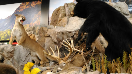 Outdoor Sports Store «Field & Stream», reviews and photos, 5215 Century Ave, Kalamazoo, MI 49006, USA