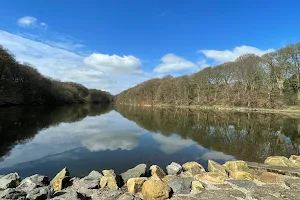 Chellow Dene image