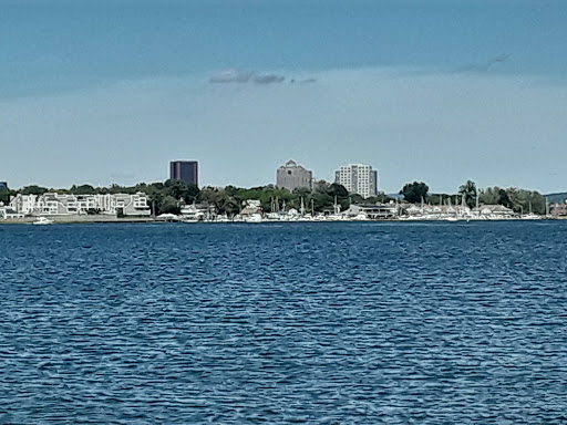 Auto Parts Store «NAPA Auto Parts - Genuine Parts Company», reviews and photos, 1260 Newfield St, Middletown, CT 06457, USA