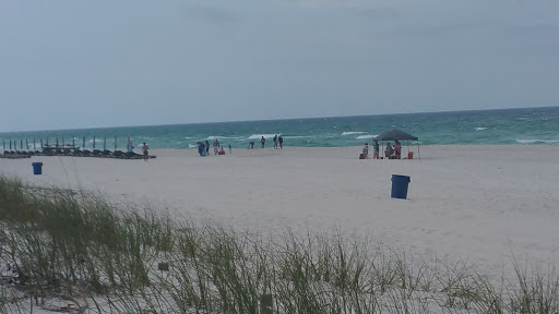 Explore ega tattoo ideas, creative tattoo ideas in Panama City Beach, available at Mango Beach Tattoo & Piercing