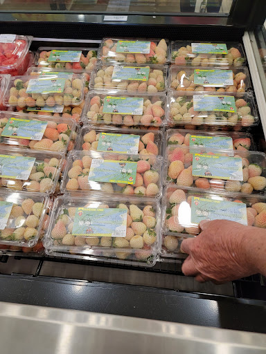 Grocery Store «H-E-B Grocery», reviews and photos, 300 Main St, Kerrville, TX 78028, USA