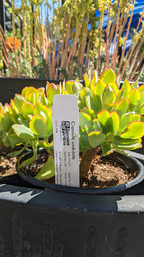 Hardware Store «Chase Ace Hardware Garden & Gift Emporium», reviews and photos, 1826 4th St, San Rafael, CA 94901, USA