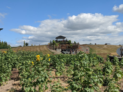Amusement Center «Maris Farms», reviews and photos, 25001 Sumner Buckley Hwy, Buckley, WA 98321, USA