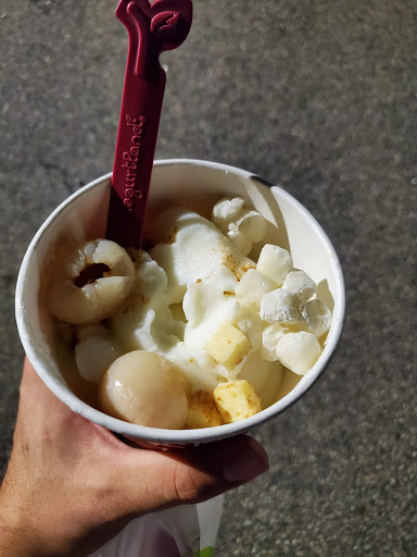 Frozen Yogurt Shop «Yogurtland», reviews and photos, 3056 NJ-10, Denville, NJ 07834, USA