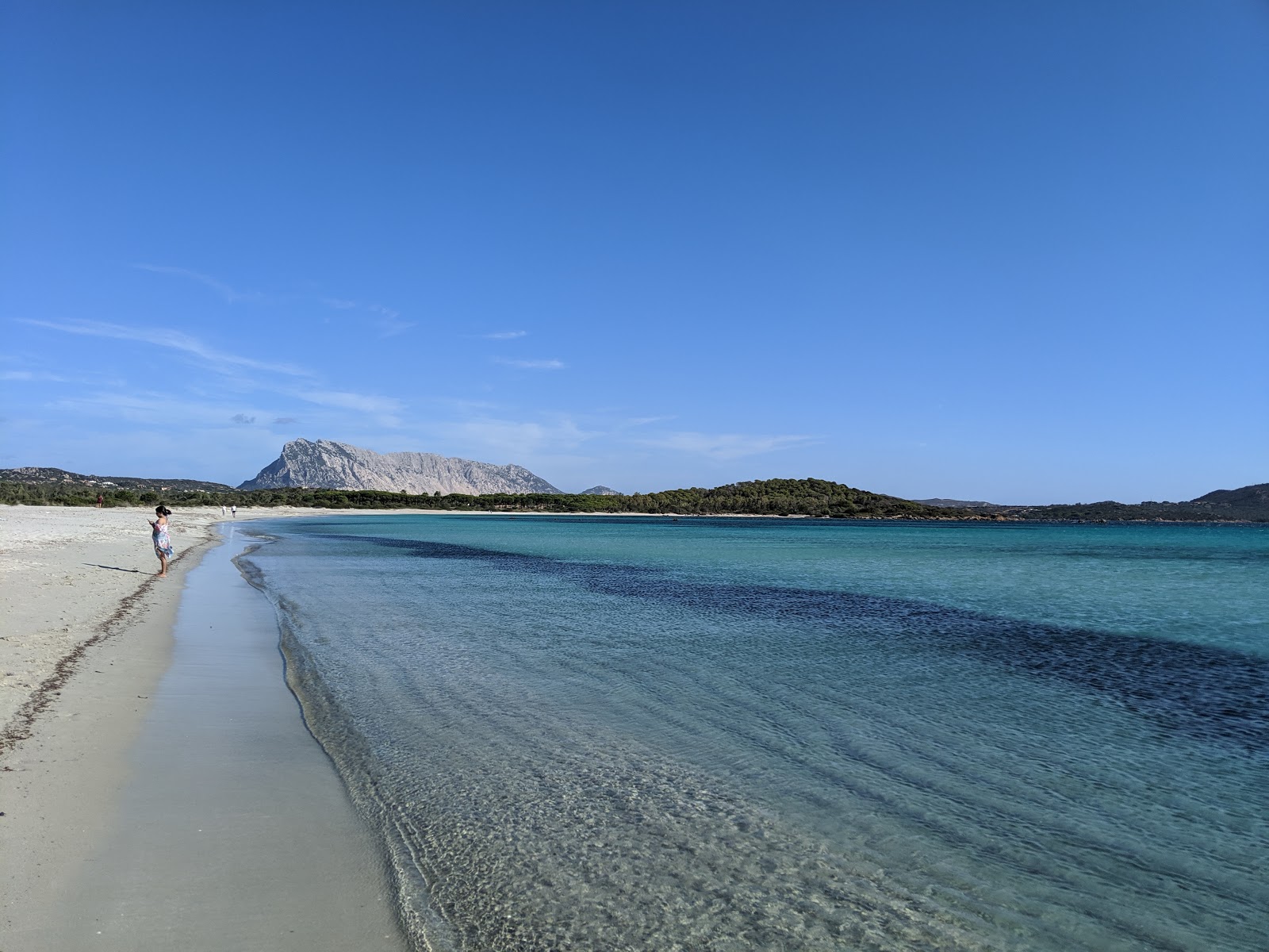Eine Luftaufnahme von Spiaggia di Lu Impostu, die den unberührten weißen Strand, das klare türkisfarbene Meer und die malerischen grünen Hügel zeigt.