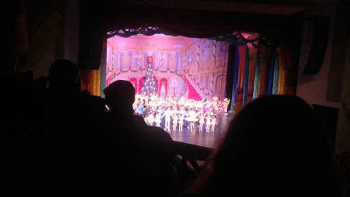 Performing Arts Theater «Flint Center for the Performing Arts», reviews and photos, 21250 Stevens Creek Blvd, Cupertino, CA 95014, USA