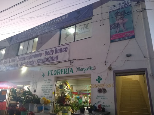 SD academia de danza