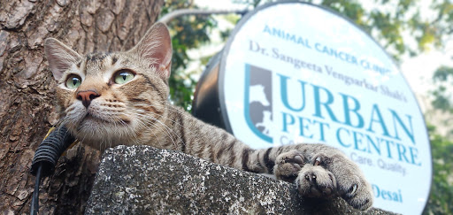 Animal Cancer Clinic, Urban Pet Centre - Dr. Noopur Desai