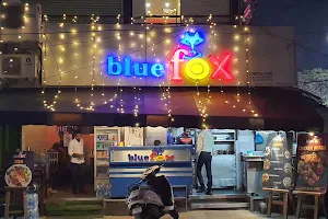 Blue Fox image