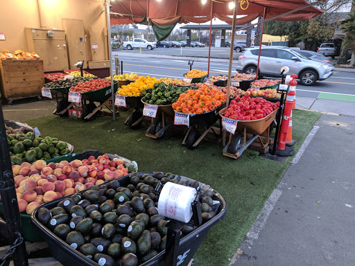 Fruit and vegetable wholesaler Concord