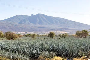 Tequila Volcano image