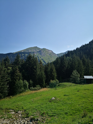 Les Aigles du Léman à Morzine
