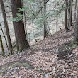 Eldridge Wilderness Trail