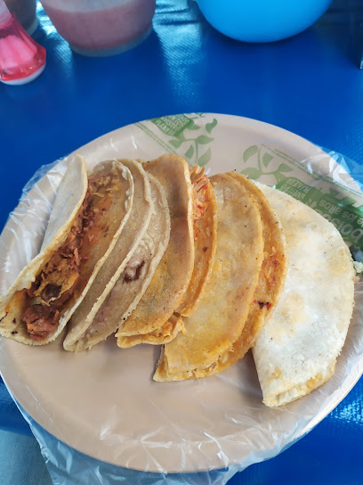 Tacos al vapor Don Enrique