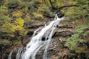 Melrose Falls image