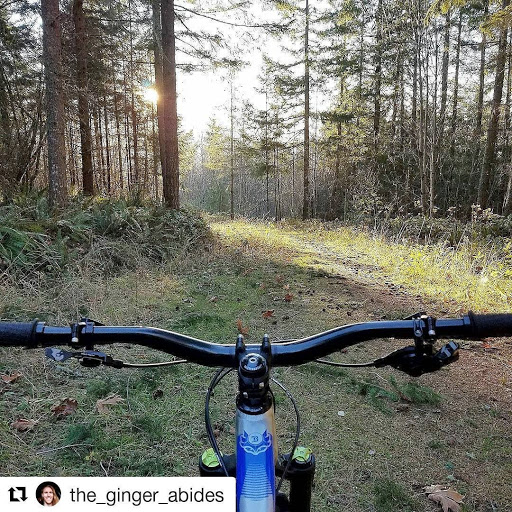 Downhill Zone, 485 Front St N, Issaquah, WA 98027, USA, 