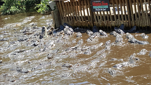 Event Venue «River House Events», reviews and photos, 179 Marine St, St Augustine, FL 32084, USA