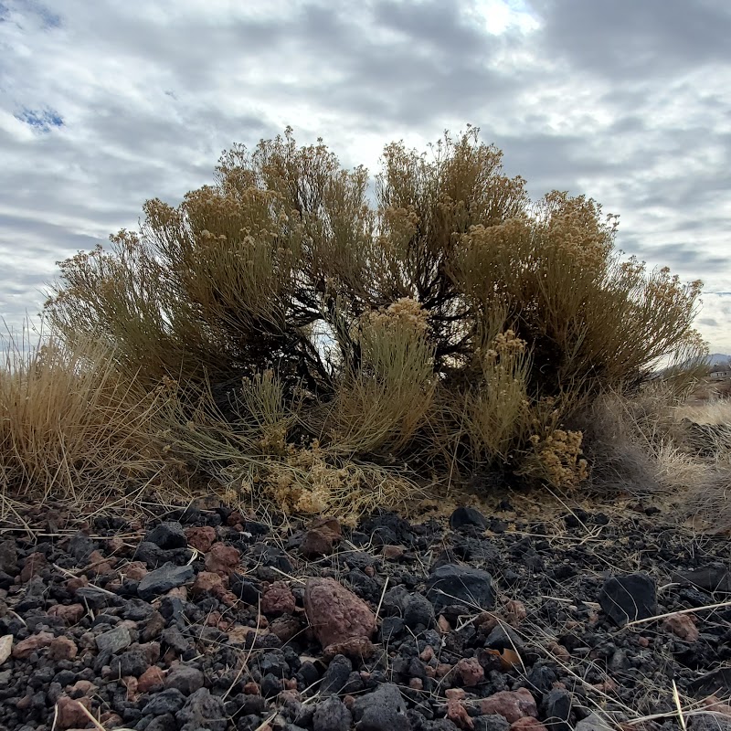 Peavine Trail