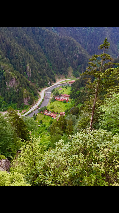 Photos of uzung&ouml;l beyzamotel ve bungalow