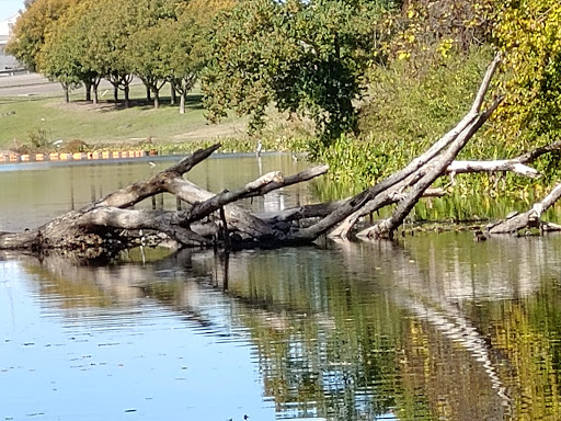 Park «Bachman Lake Park», reviews and photos, 3500 W Northwest Hwy, Dallas, TX 75220, USA