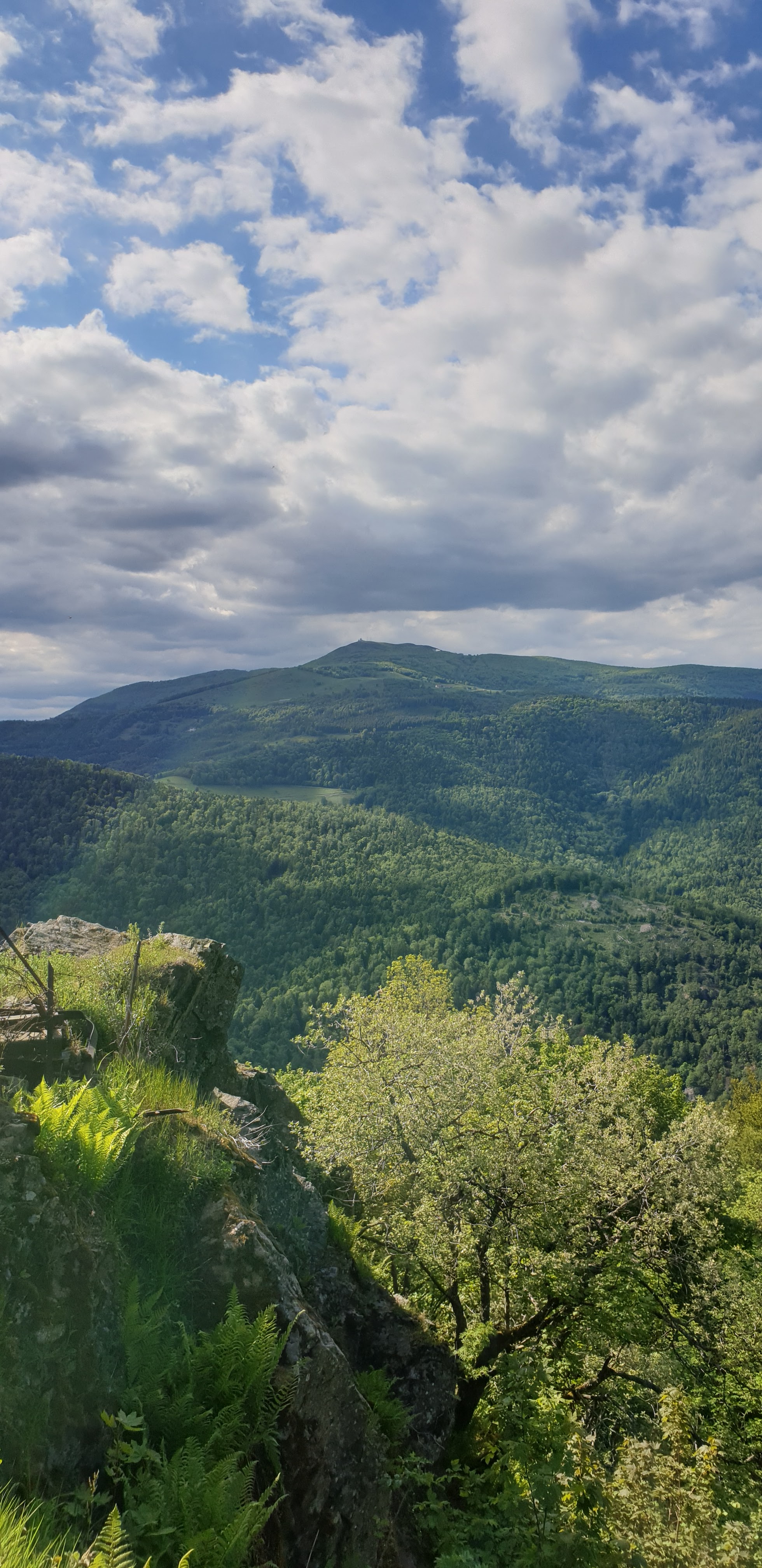 Photo n° 1 de l'avis de Eric.a fait le 04/06/2019 à 21:06
