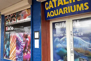Catalina Aquariums image