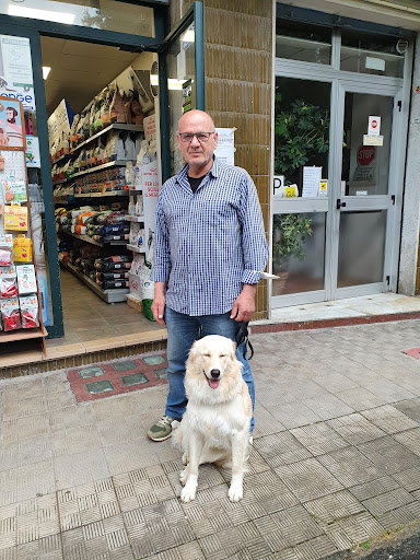 Pensioni per cani e dog hotel a Dog House