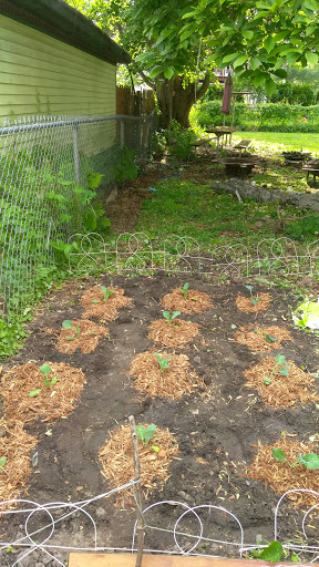 Supermarket «Mt Clemens farmers Market», reviews and photos, 135 N River Rd, Mt Clemens, MI 48043, USA