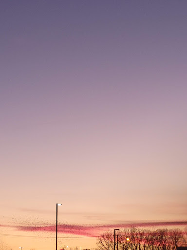 Shopping Mall «Applewood Shopping Center», reviews and photos, IN-9, Anderson, IN 46013, USA