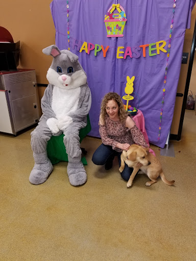 Pet Supply Store «PetSmart», reviews and photos, 181 Wilson Ave, Hanover, PA 17331, USA