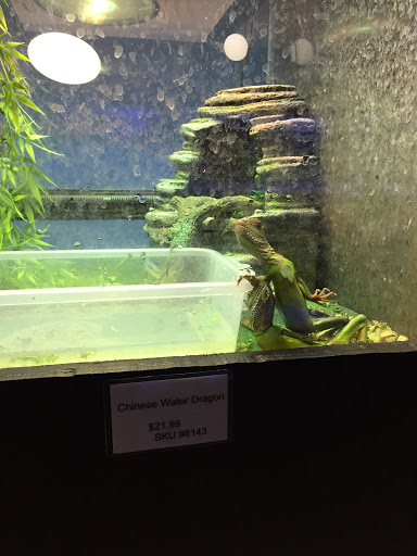 Pet Store «Inland Reef Pet Store», reviews and photos, 817 Cross Lanes Dr, Cross Lanes, WV 25313, USA