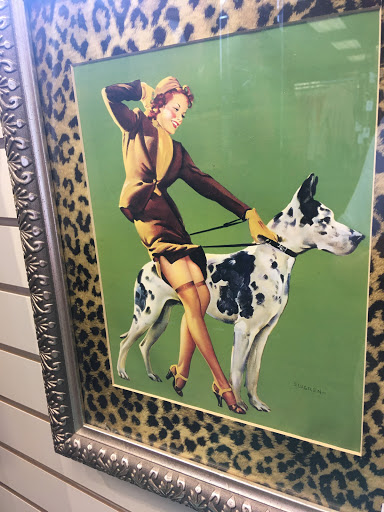 Thrift Store «Cottage Thrift Shop», reviews and photos, 811 Westheimer Rd, Houston, TX 77006, USA