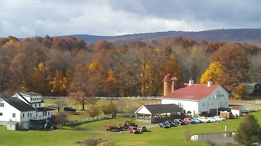 Winery «Christian W Klay Winery», reviews and photos, 412 Fayette Springs Rd, Chalkhill, PA 15421, USA