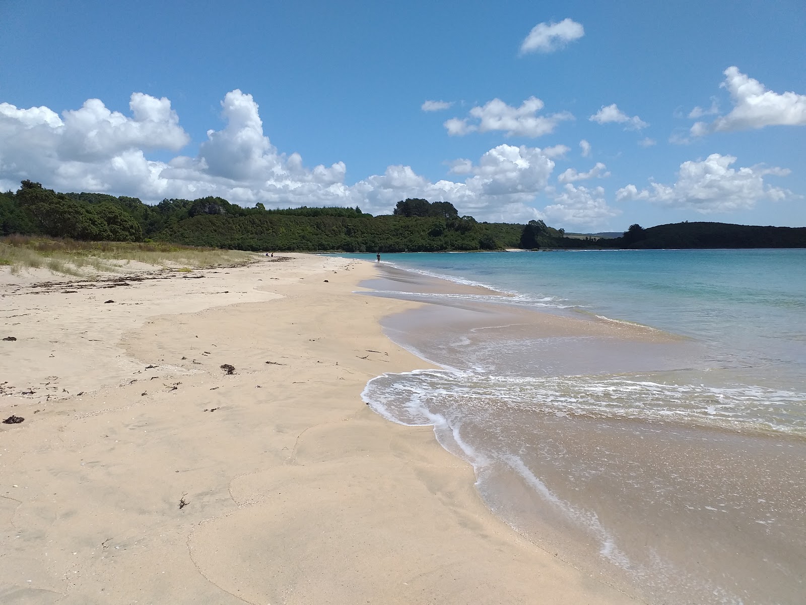 Fotografija Tapuaetahi Beach z svetel pesek površino