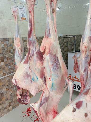 ملحمه اسكان Malhama Iskan 