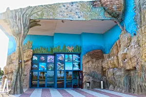Aquarium Costa de Almería image