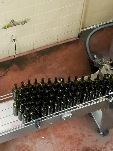 Vineyard «Lakeridge Winery & Vineyards», reviews and photos, 19239 US-27, Clermont, FL 34715, USA