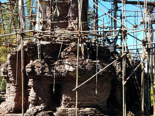 Performing Arts Theater «Blue Man Group», reviews and photos, 6000 Universal Blvd, Orlando, FL 32819, USA