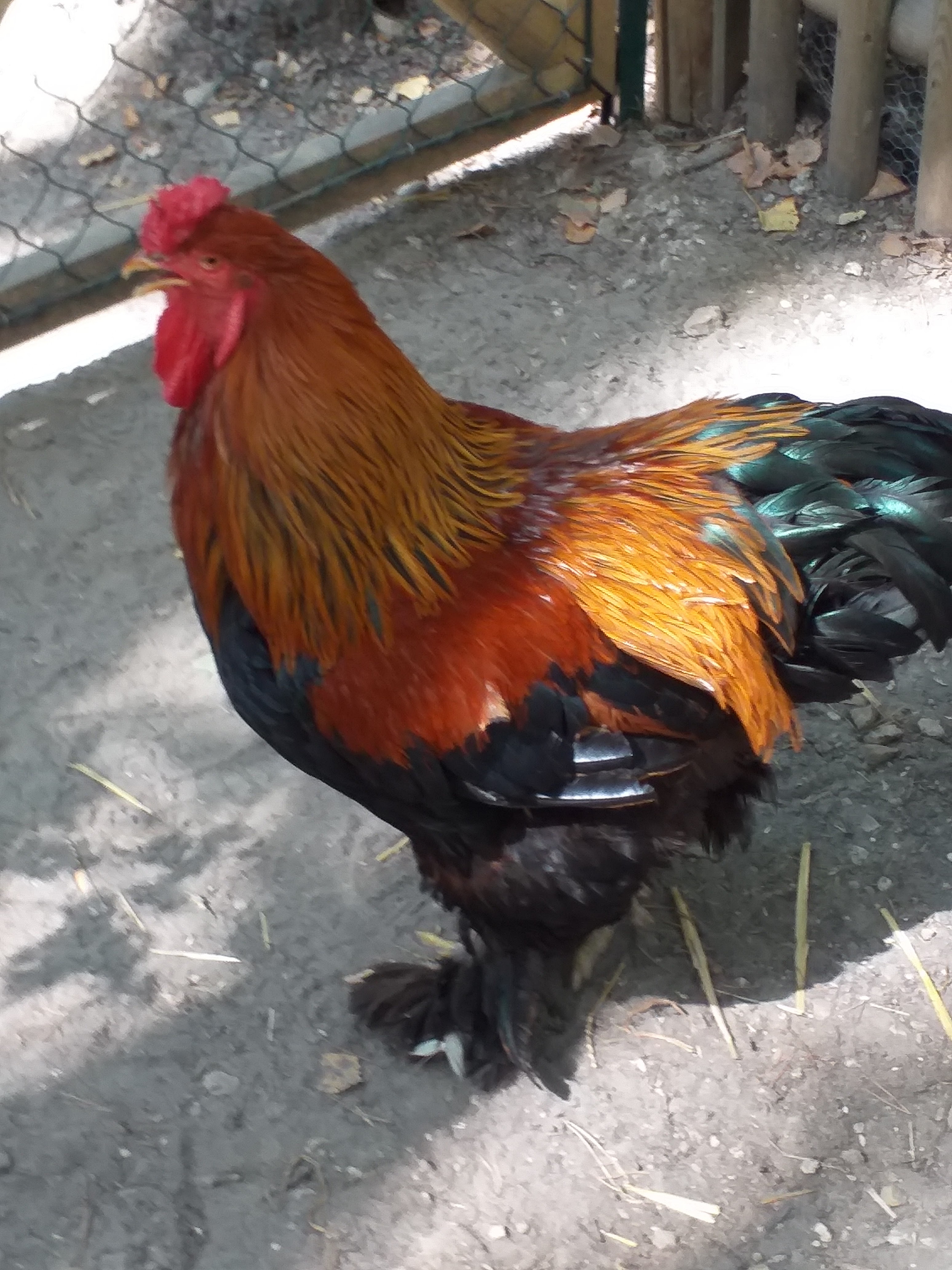 Photo n° 1 de l'avis de Jeannine.e fait le 12/08/2020 à 17:04