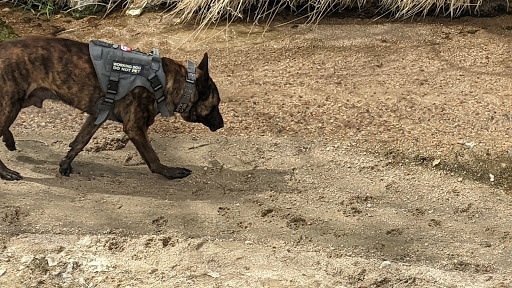 Park «Wildflower Park», reviews and photos, 980 Nolte Dr N, Colorado Springs, CO 80916, USA