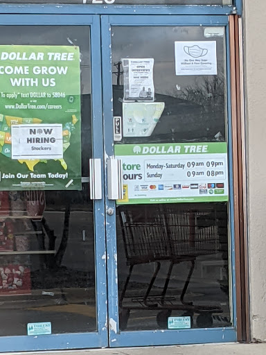 Dollar Store «Dollar Tree», reviews and photos, 723 W State Rte 22, Lake Zurich, IL 60047, USA