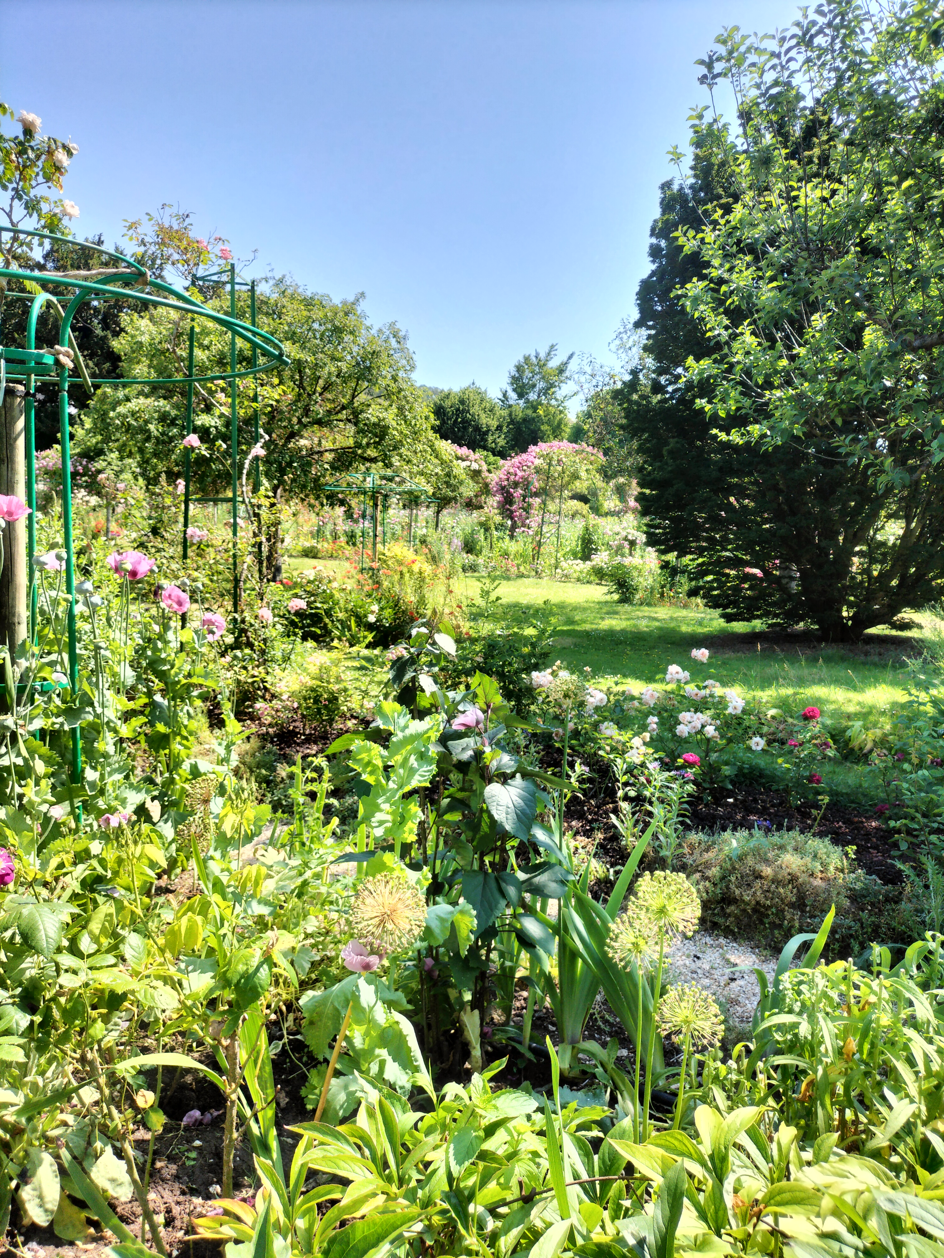 Photo n° 17 de l'avis de didier.e fait le 15/06/2023 à 13:38