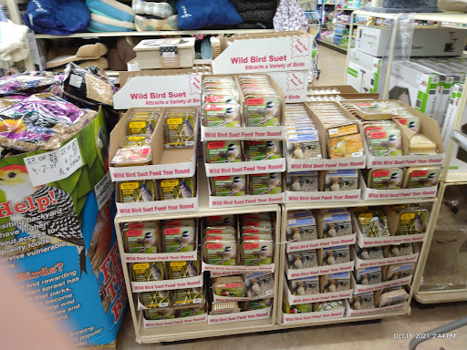 Home Goods Store «Christmas Tree Shops», reviews and photos, 46 Springer Dr, Bangor, ME 04401, USA