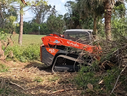 South West Tree Service , Land Clearing, tractor service, brush clearing ,Stump Grinding, and Hauling.
