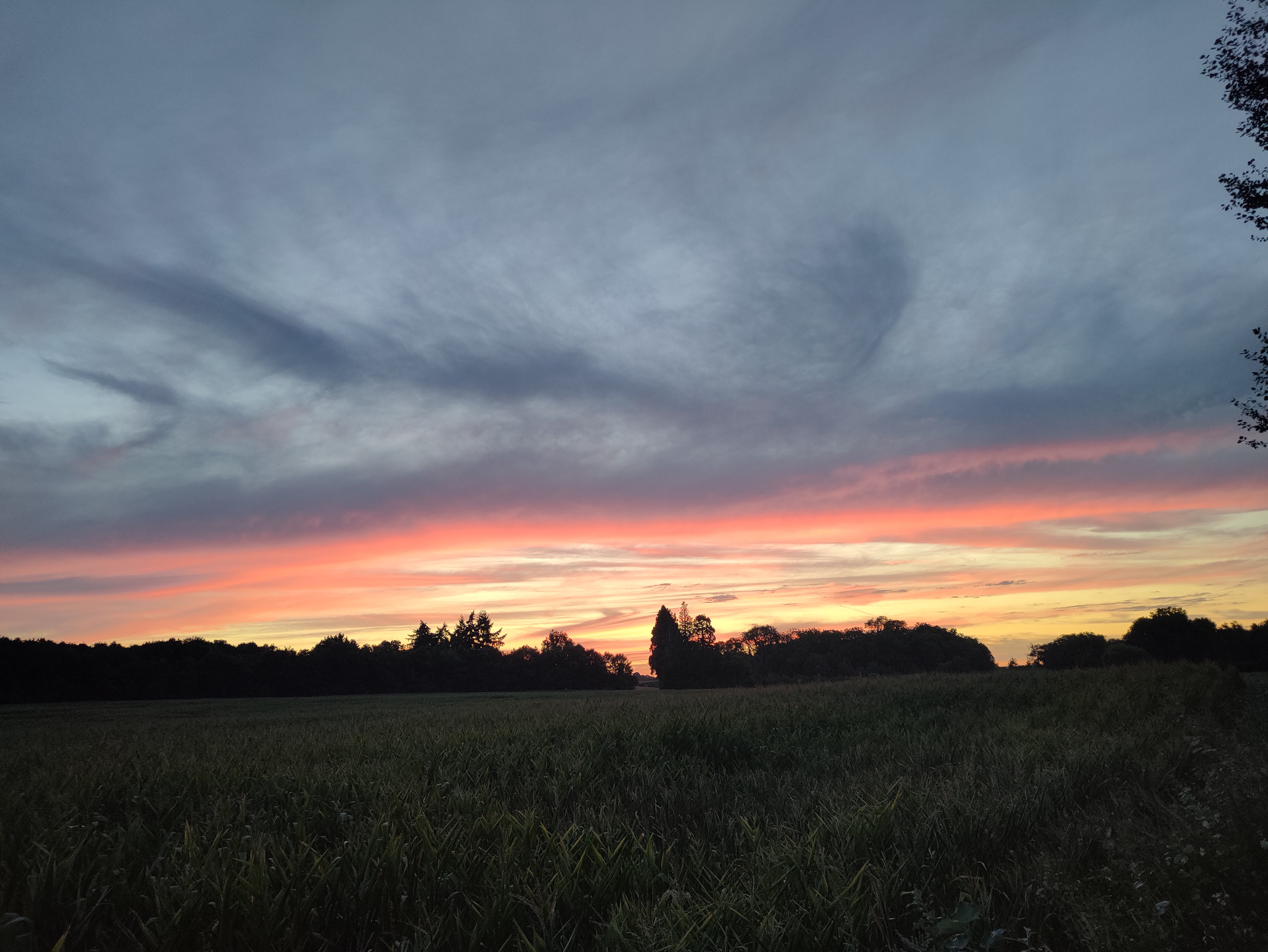 Photo n° 2 de l'avis de Tom.o fait le 08/08/2022 à 19:53